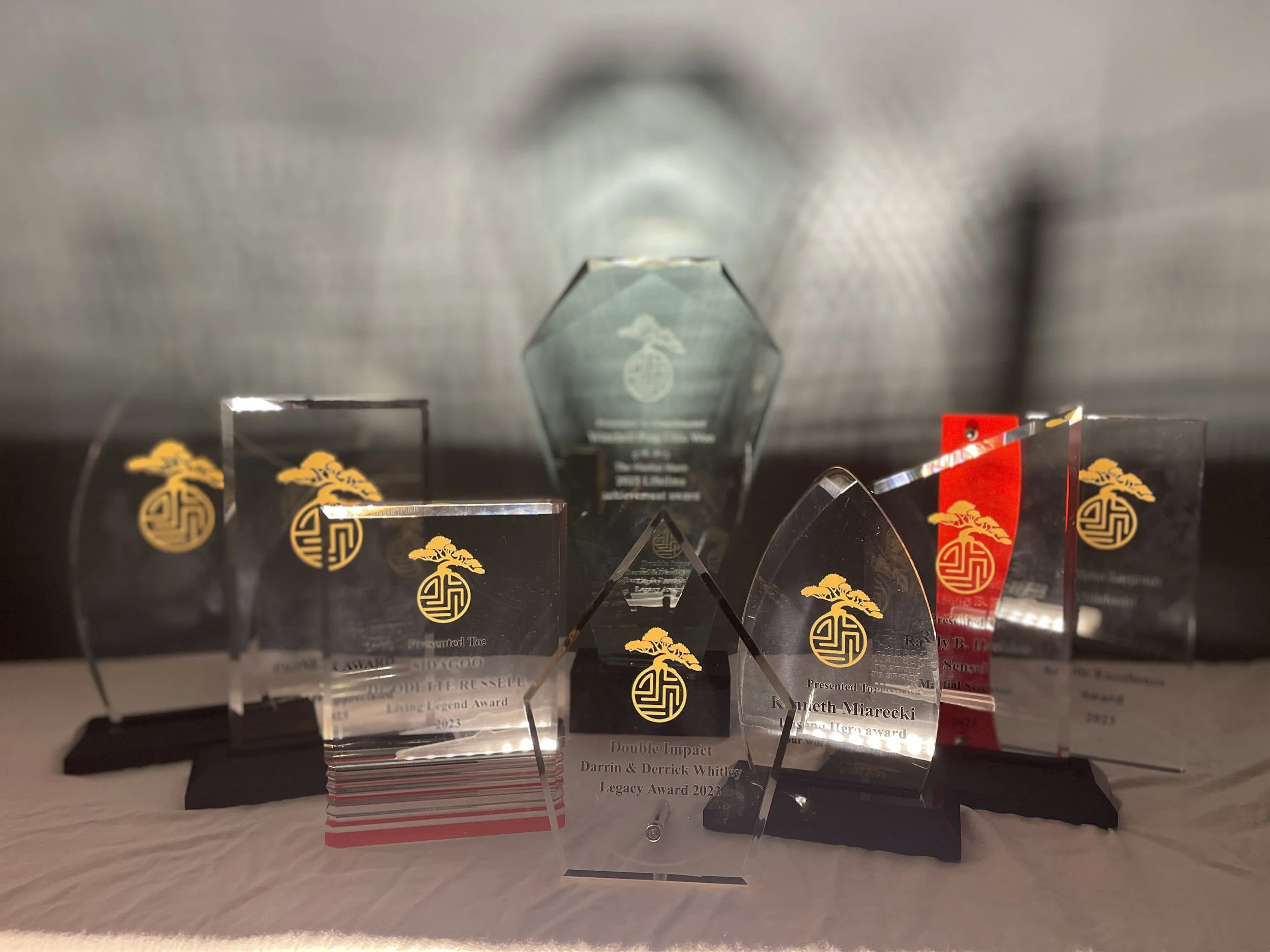 Several glass trophies and awards with gold logos and inscriptions, arranged on a surface with a dark background, some awards have red accents and are transparent, including a tall, hexagonal-shaped award in the back.