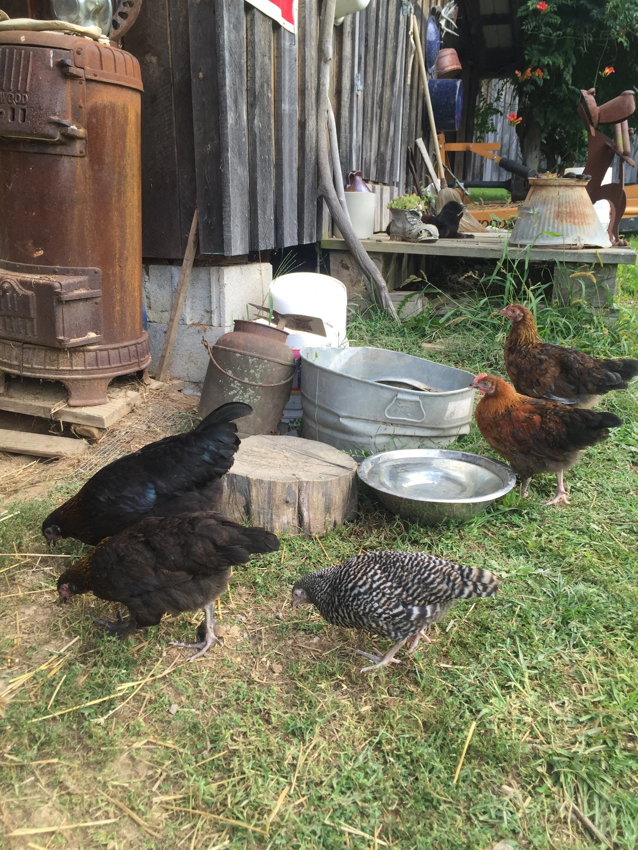 springtime spiraling