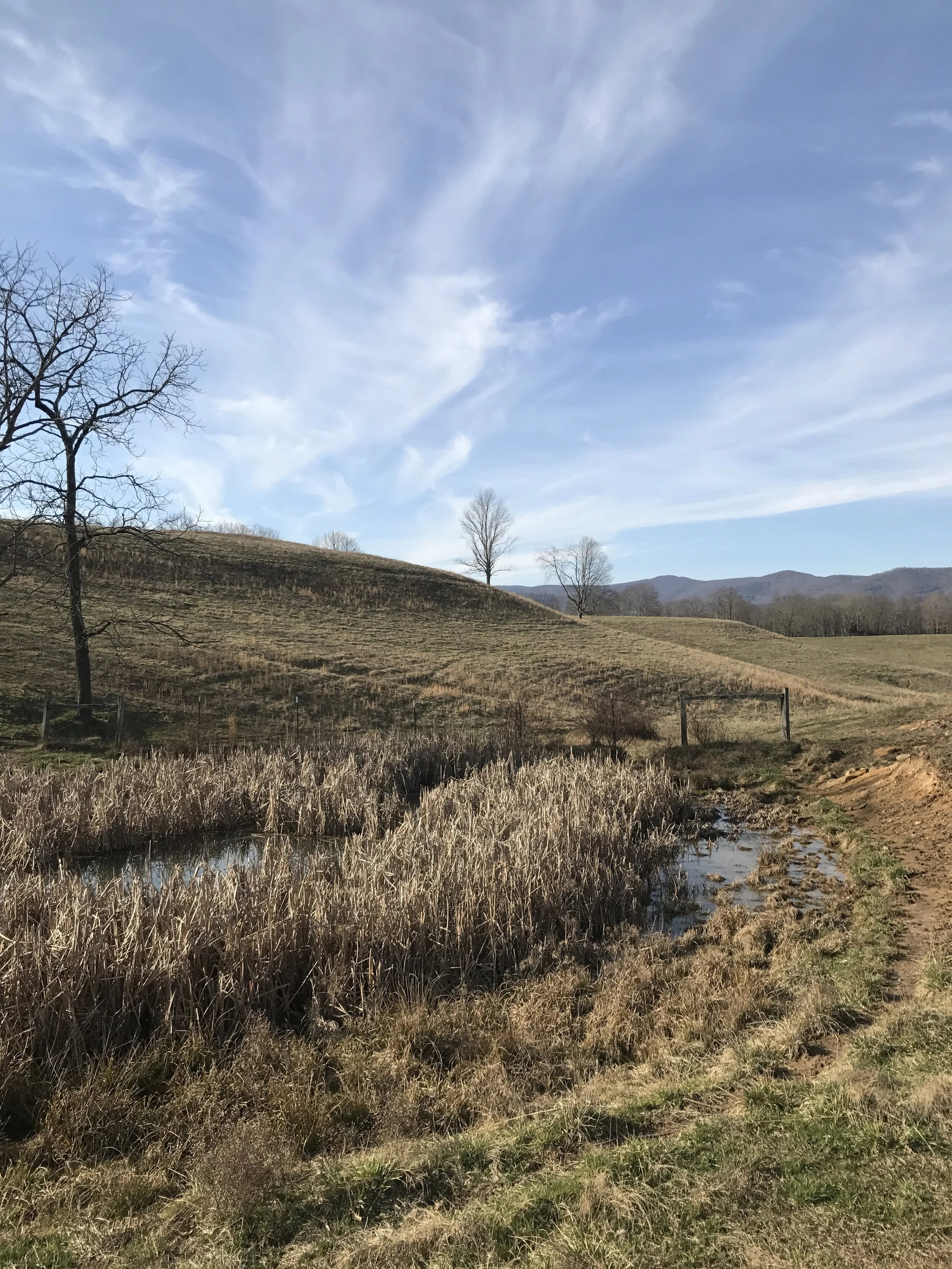 exploring the elements (1)---air