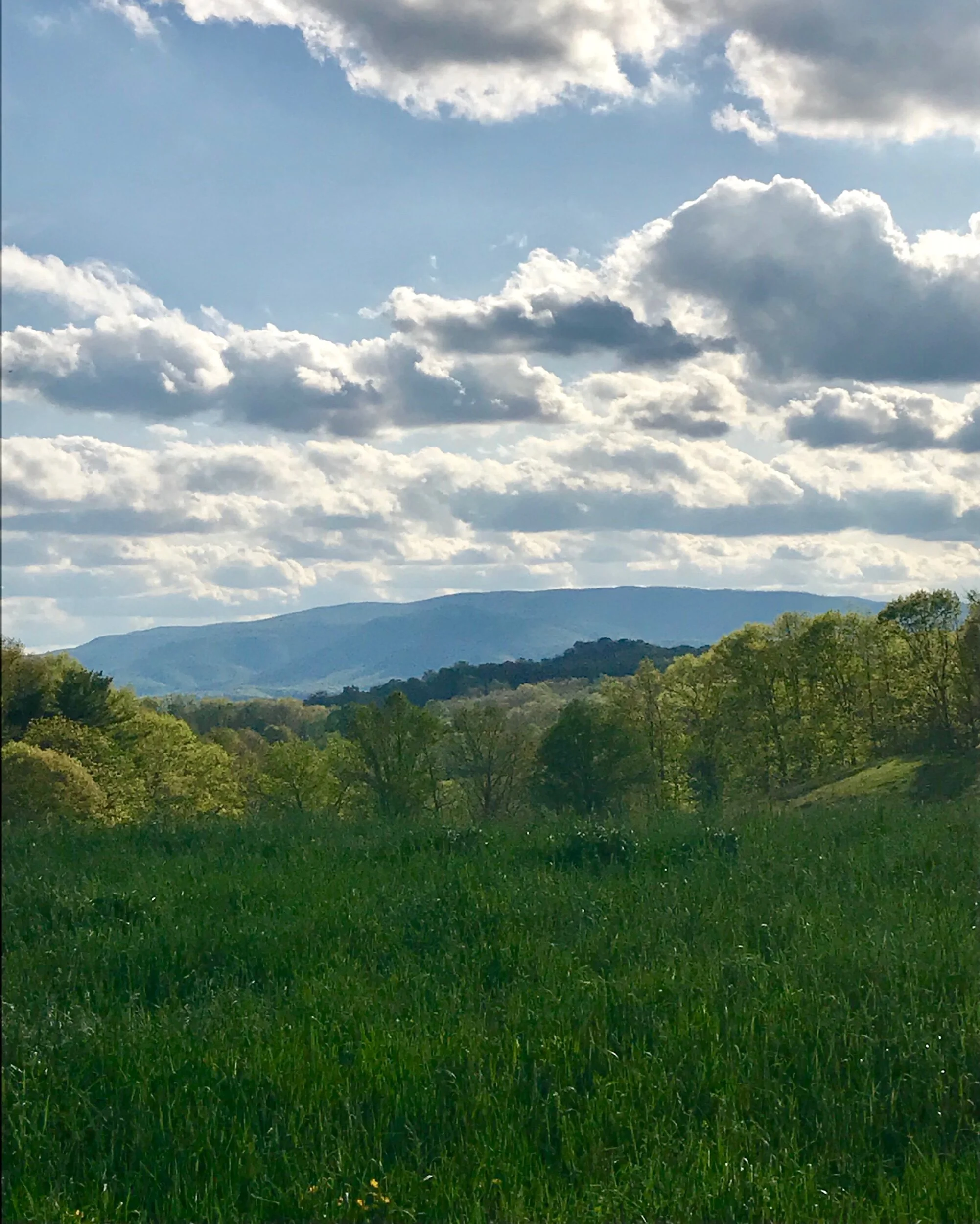 exploring the elements (4)---(earth)