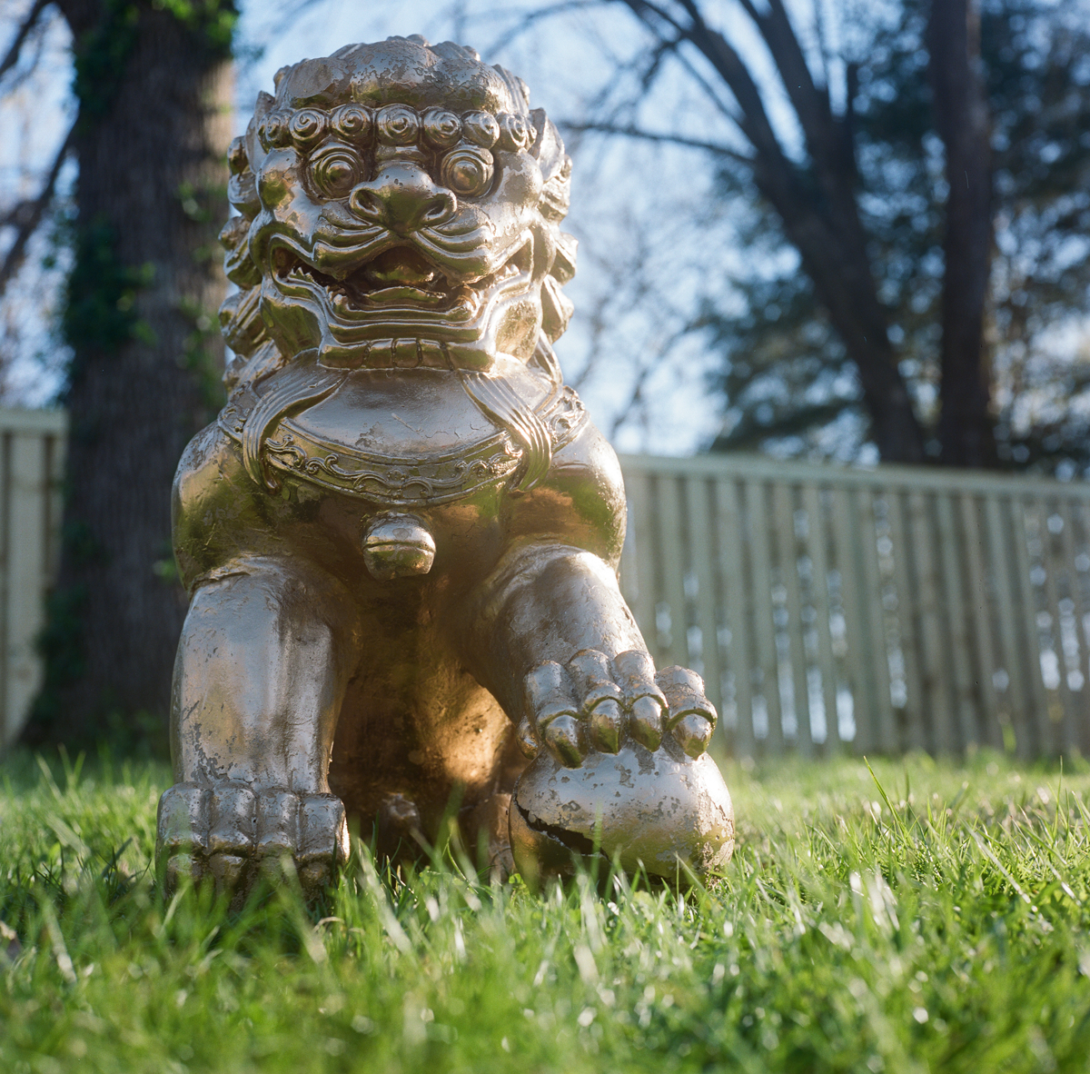 Gold-Statue-Med-Format.png