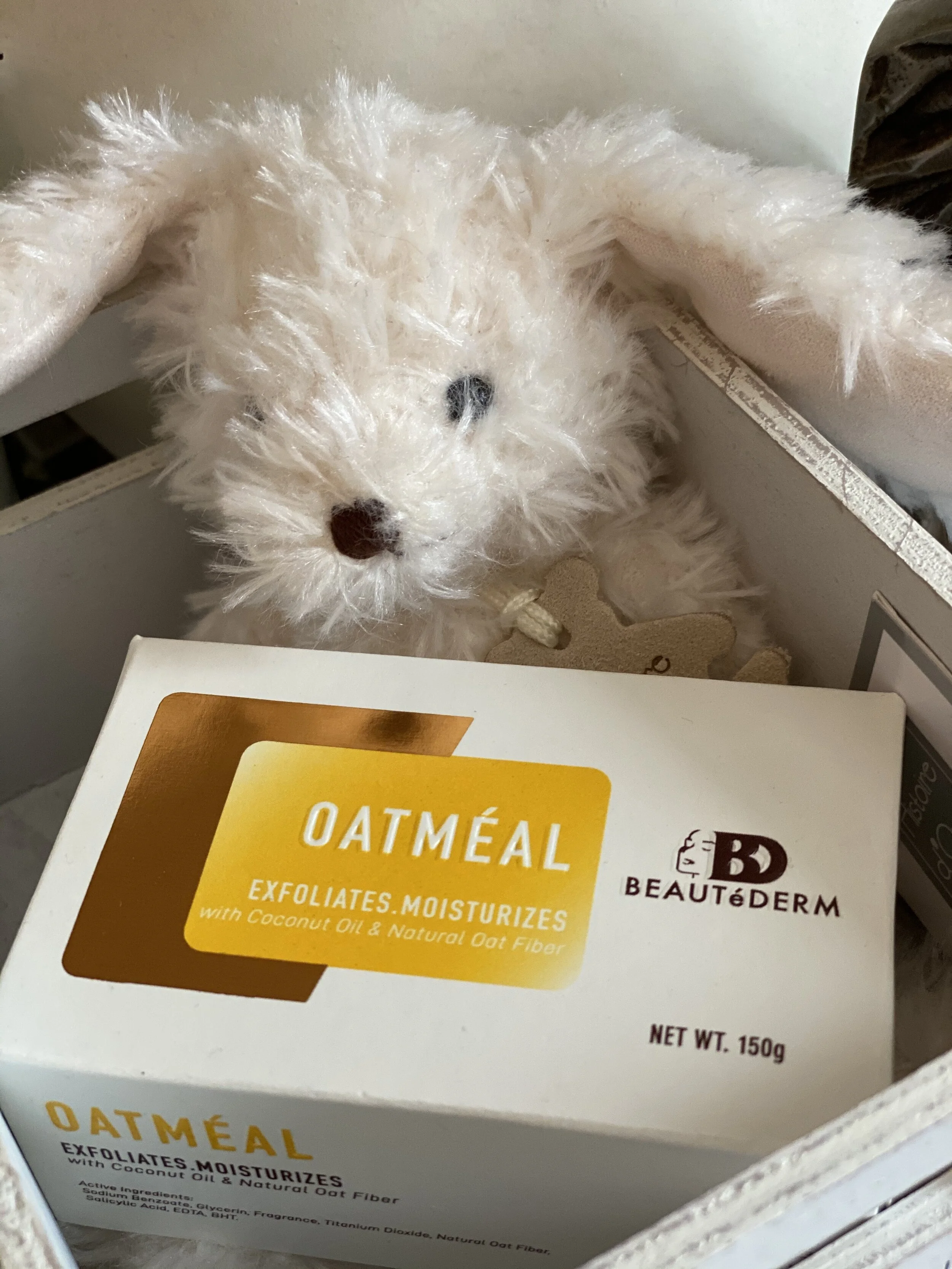 49FE469D-B0D4-4D62-8F54-1CC80886D54D