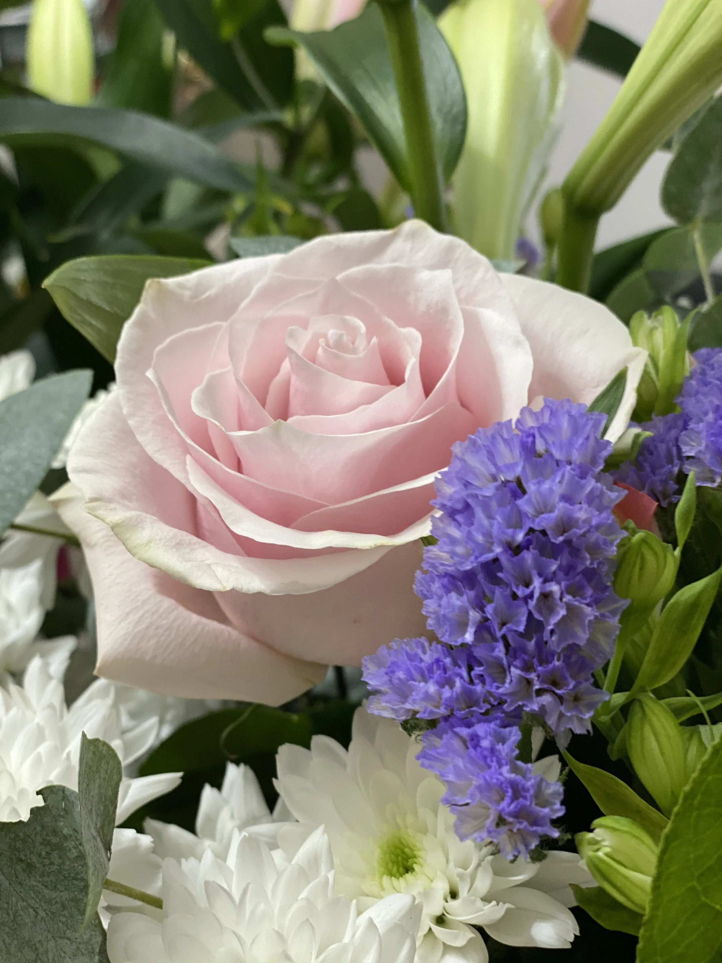 836FEED6-63DA-4AB3-BEEC-71DBC8450787