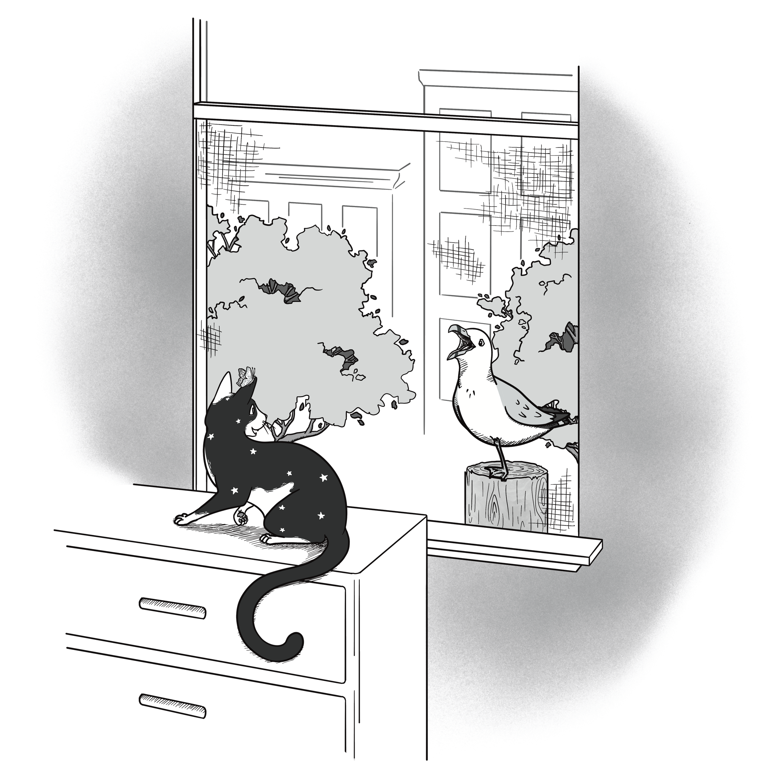 A page from Percy's story by Jo Bennett - Percy chatting with a seagull