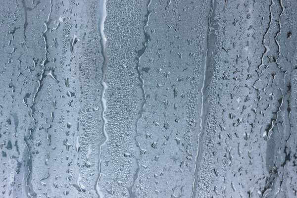Why Do My Windows Have Condensation?
