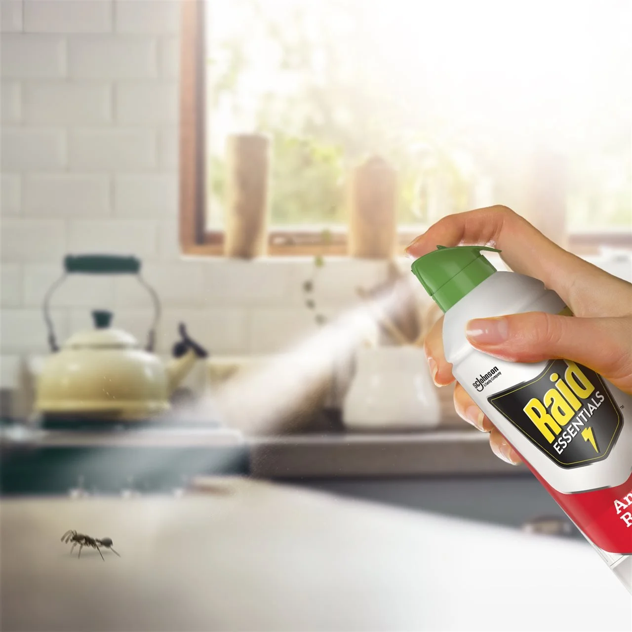 5 Easy Tips for Preventing Unwanted Bugs in The Home This Fall and Winter