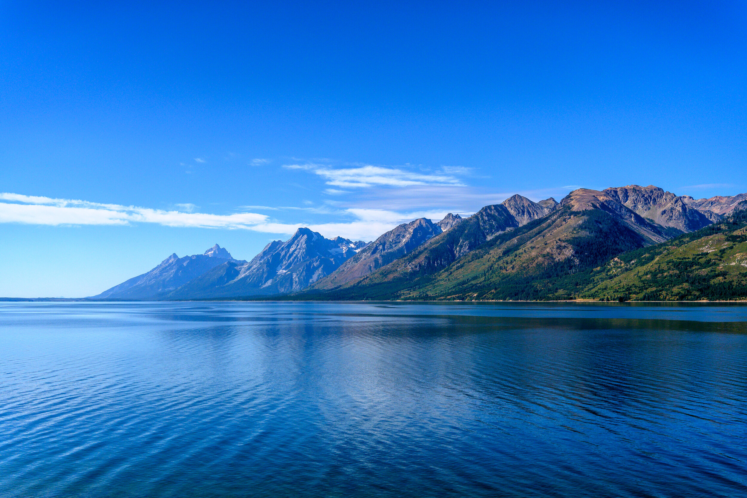 Jenny Lake