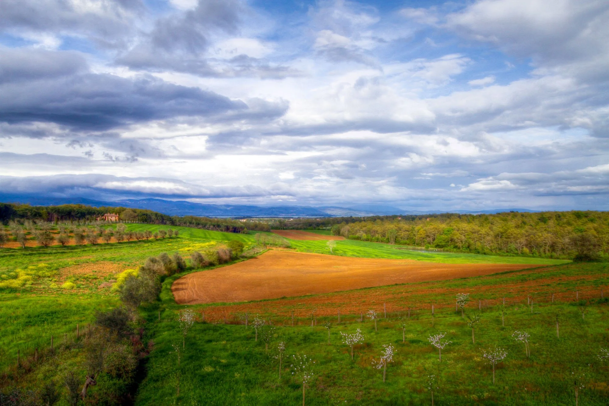 Italy