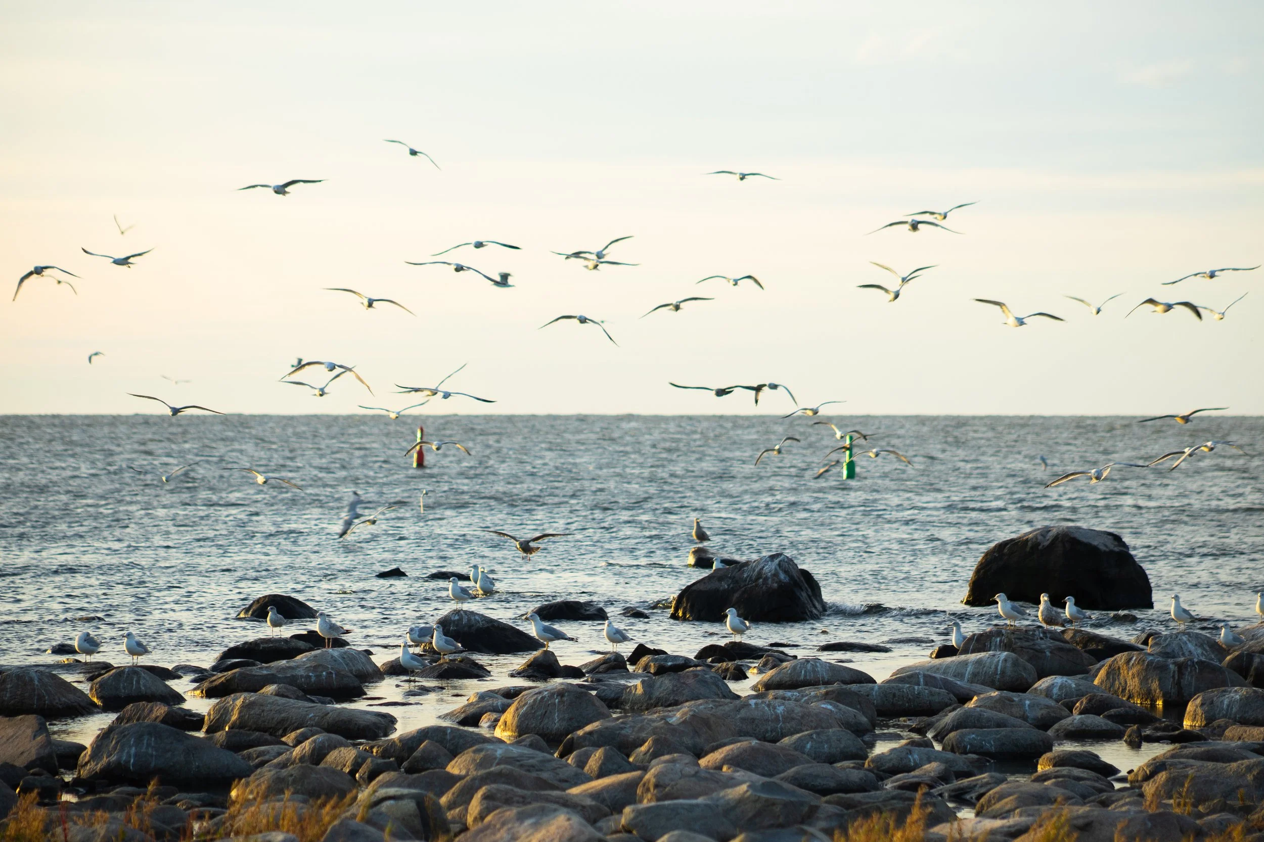 LWRC_Sept 25 2025-12.jpg