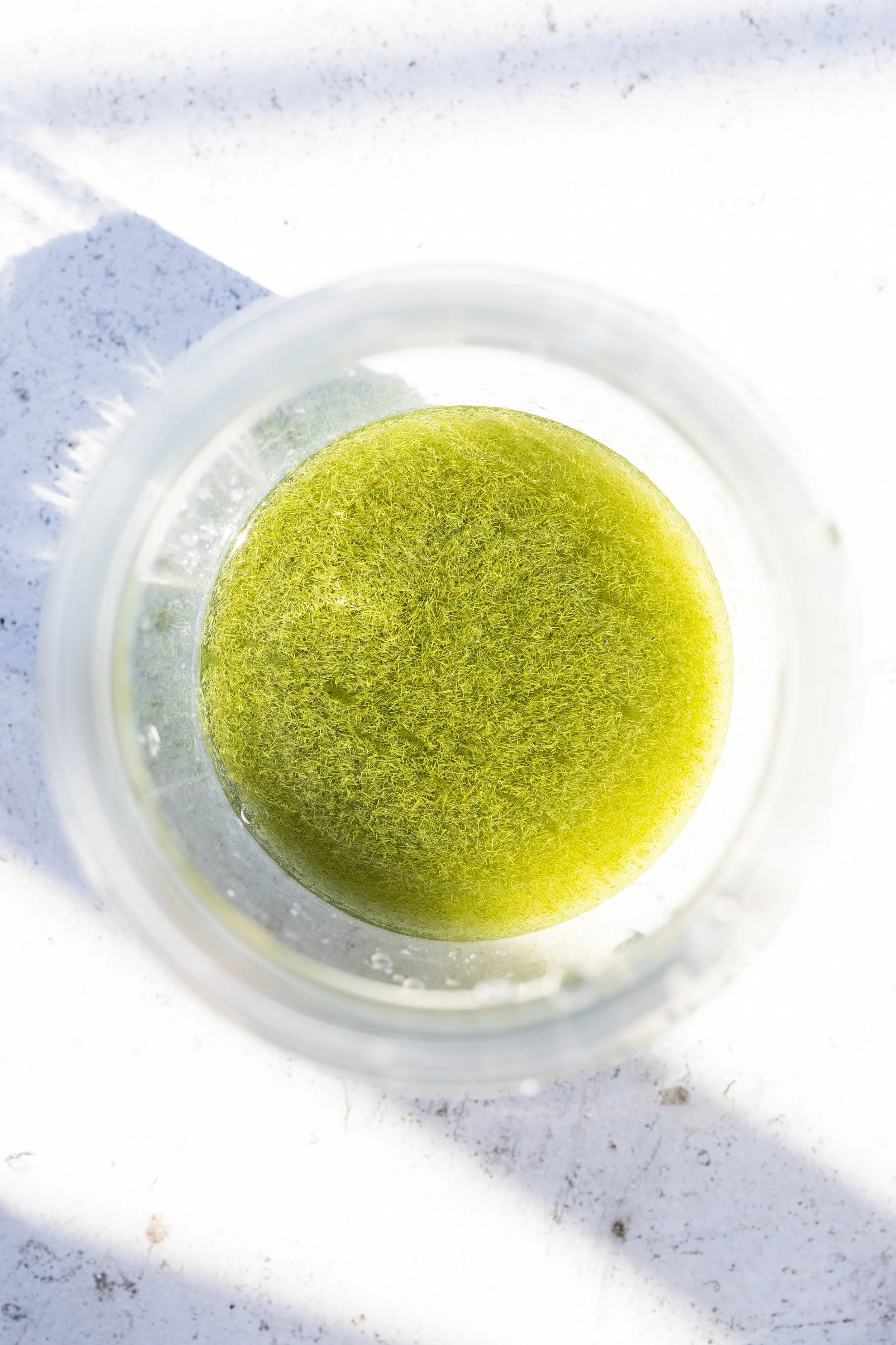 LWRC_Sept 24 2025-34.jpg