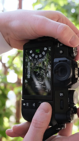 Fujifilm X-T50 — 72 Hours In