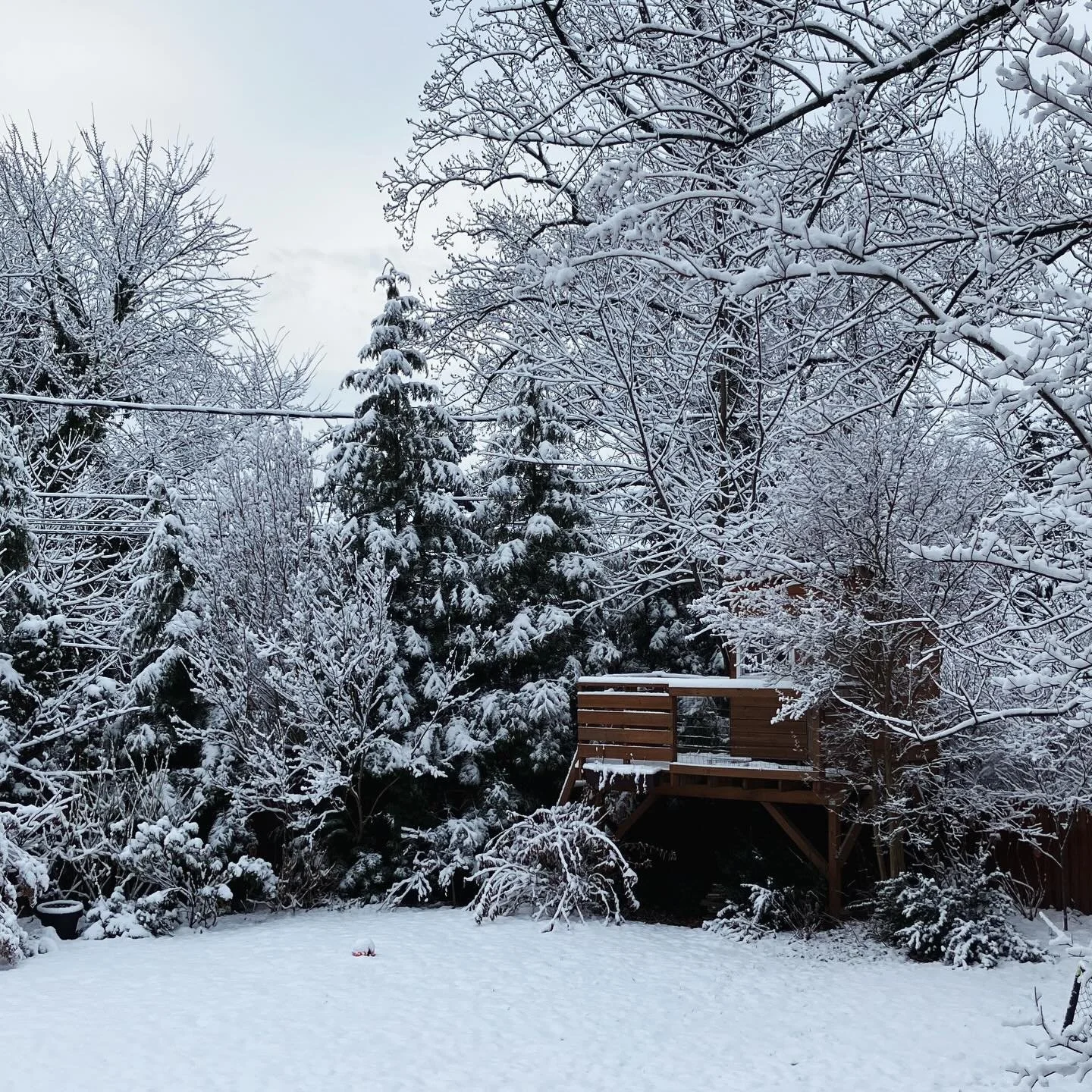 Capturing a bit of peace with the backyard view before it all melts away.

#urbanrowdesign #backyardtreehouses #treehouselove #baltimorecityhomes
