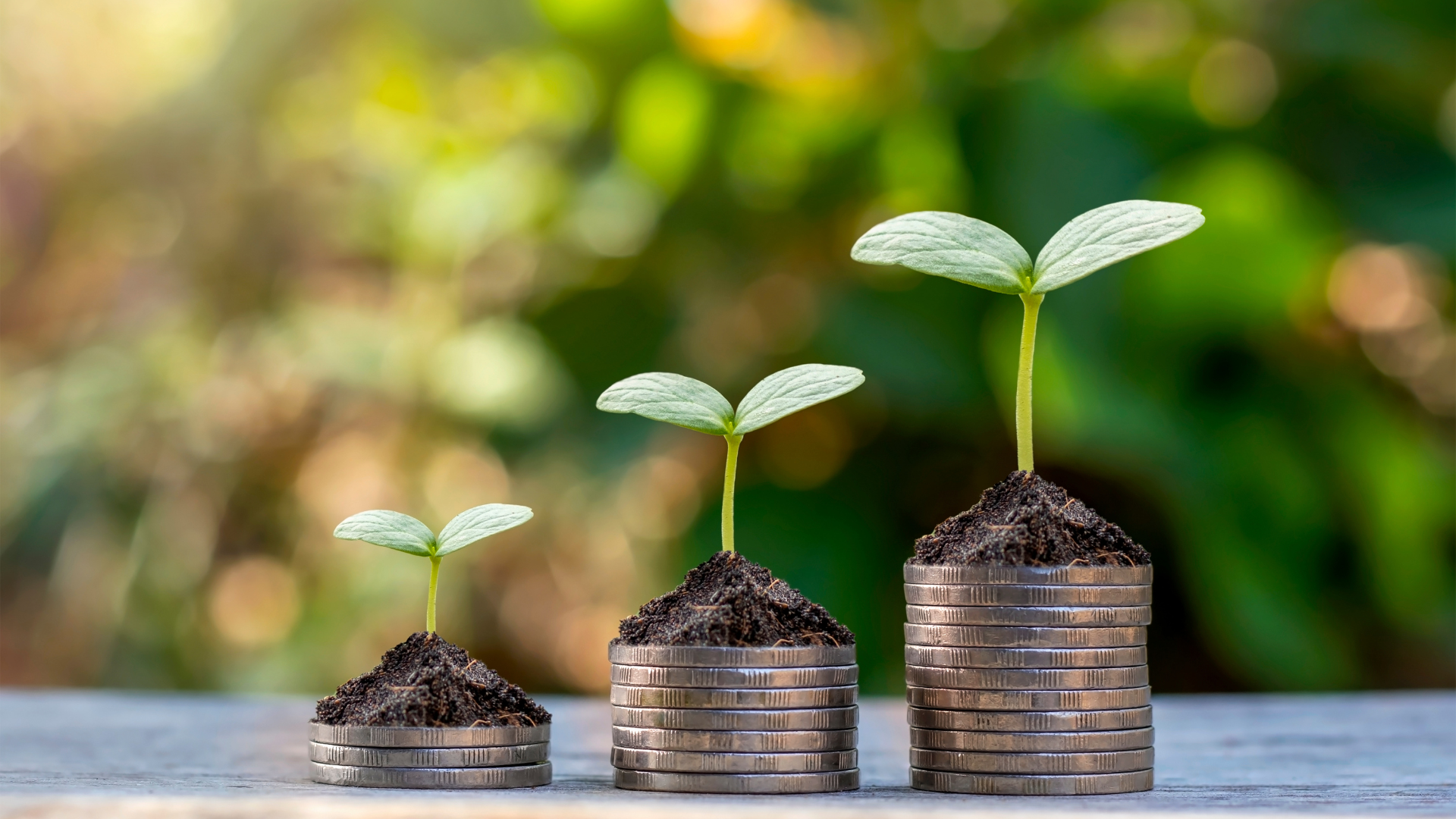 Copy of Electrical.png