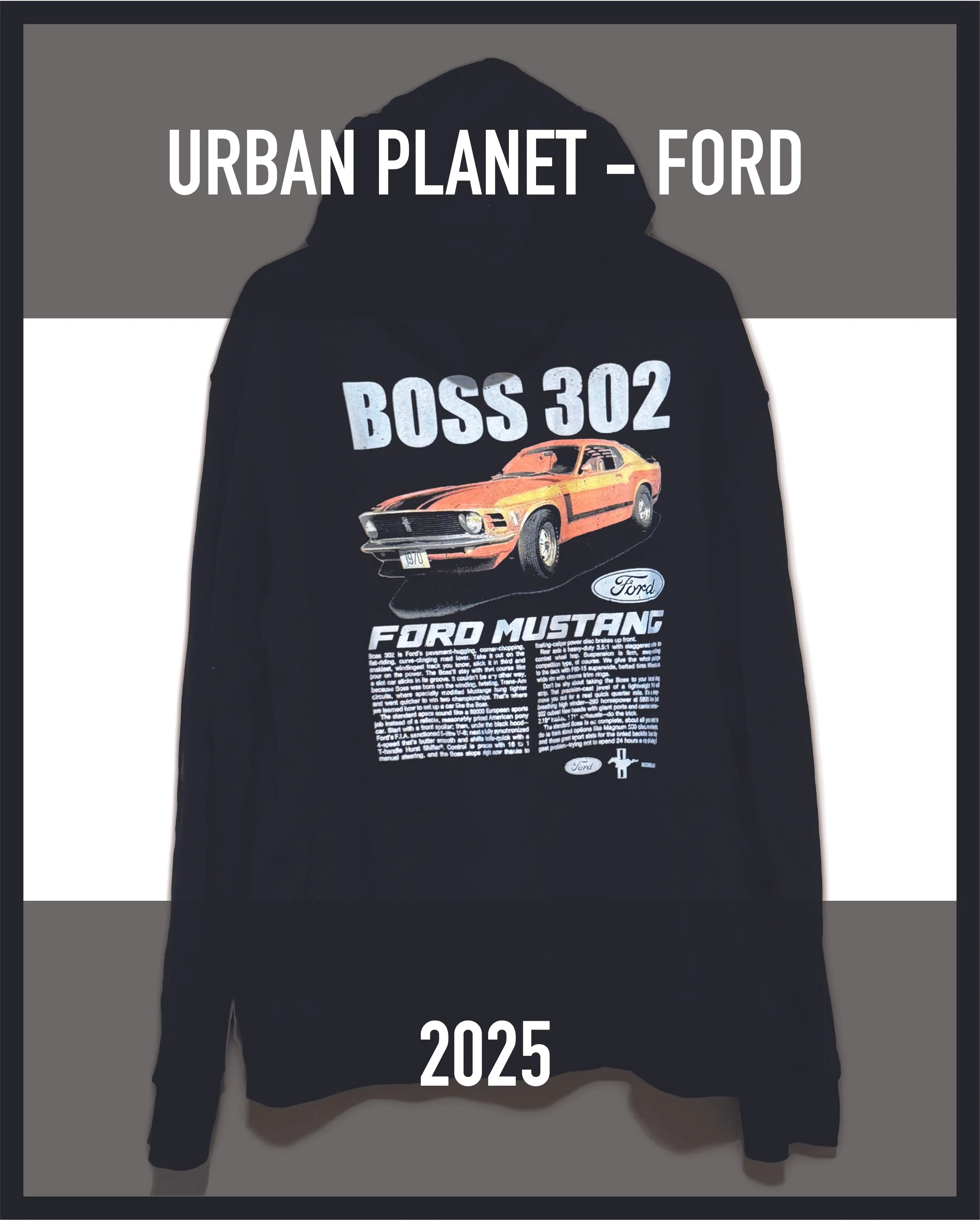 LISENCED GRAPHICS-09.jpg