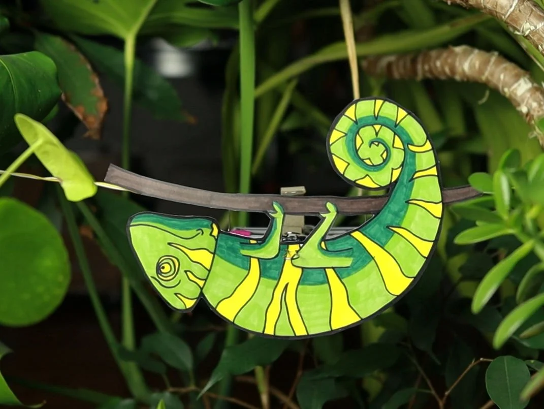 Keyvisual of the Lazy Chameleon Robot in a green and yellow design hanging from a string between greenery (room plants)