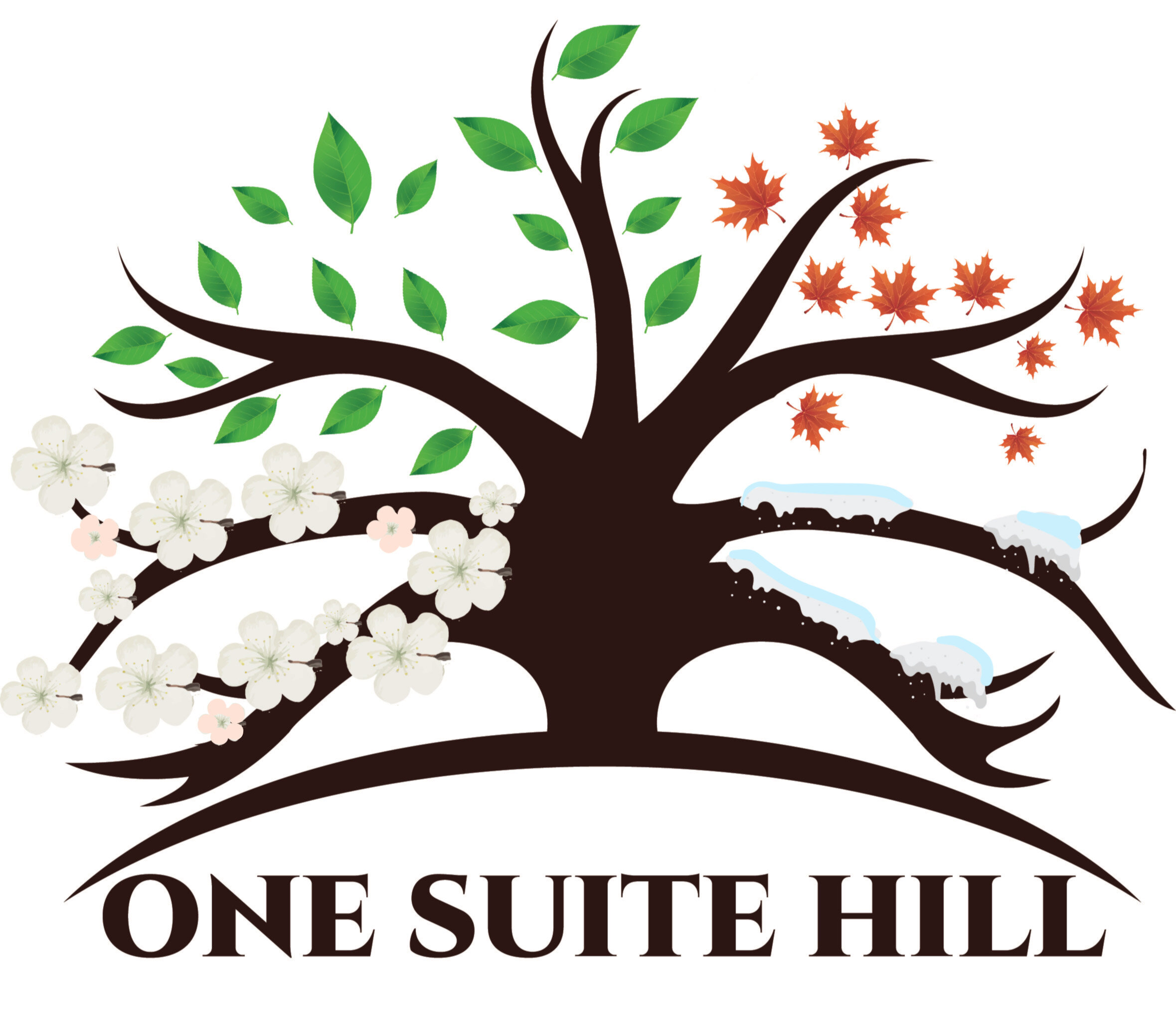 One Suite Hill Llc