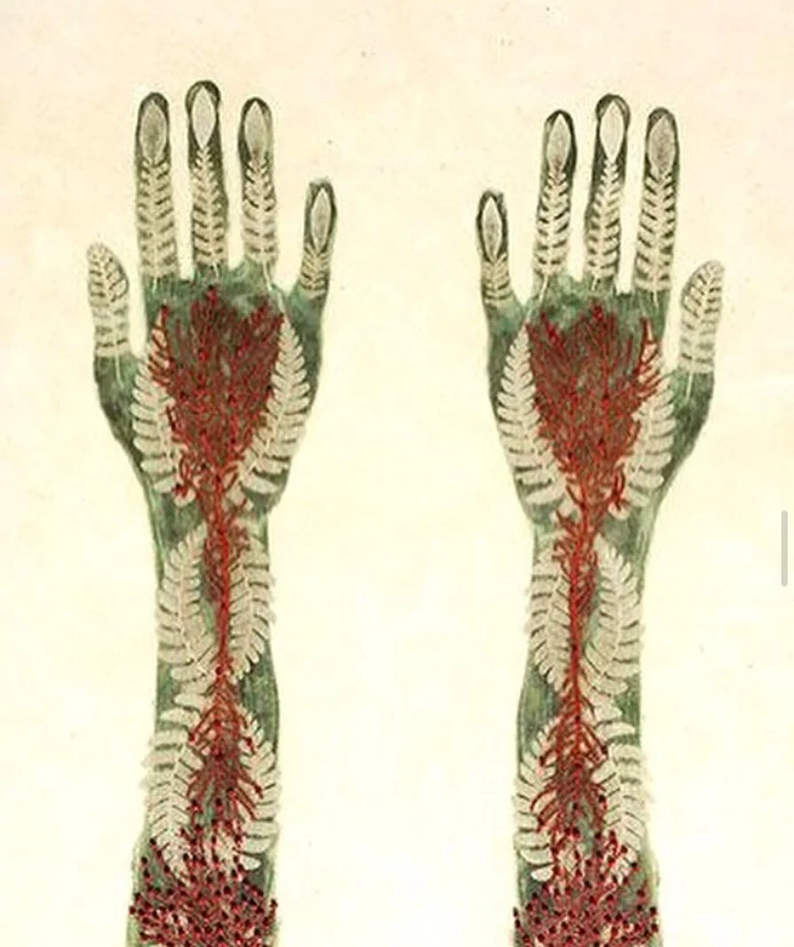 &hearts;️Valerie Hammond &hearts;️