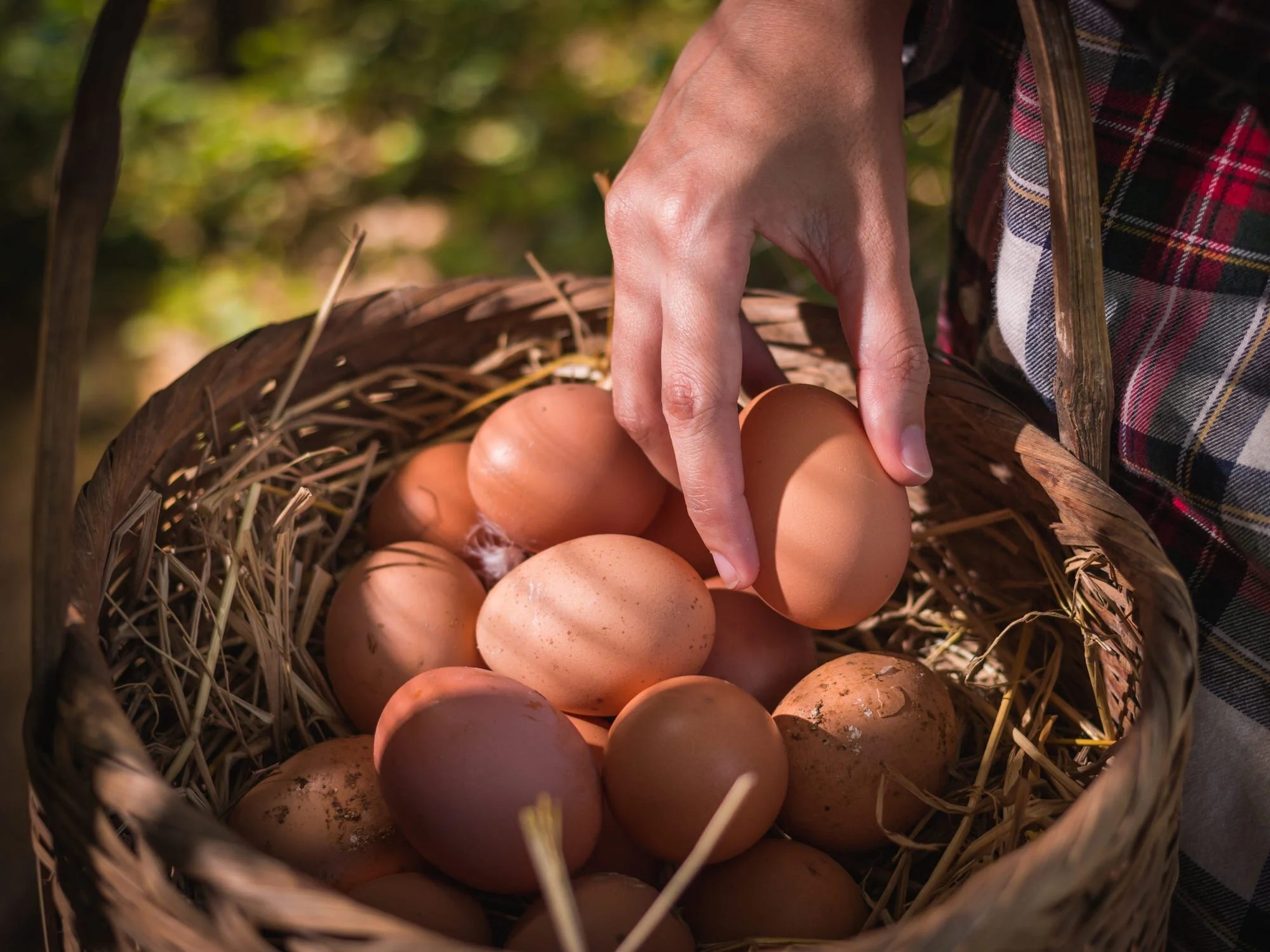 7種富含色氨酸的食物可能有助於改善情緒