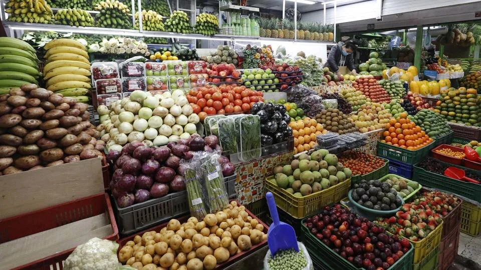 ¿Qué alimentos ayudan a aumentar la vitamina D en el cuerpo?