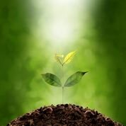 The EU Code of Conduct puts nutrition-focused product reformulation and environmentally friendly strategies at the heart of food production.