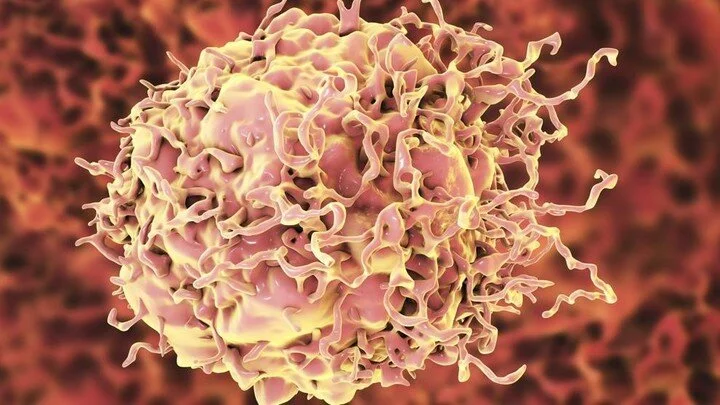 Imagen virtual de una célula de cáncer de colon