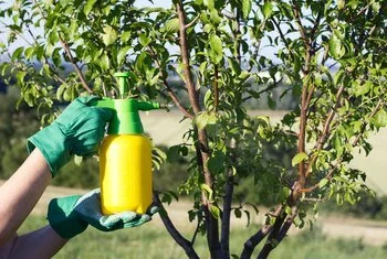 Common pesticide may contribute to global obesity crisis