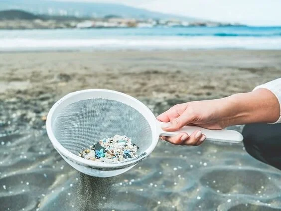 無所不在的塑膠微粒 您瞭解了嗎？