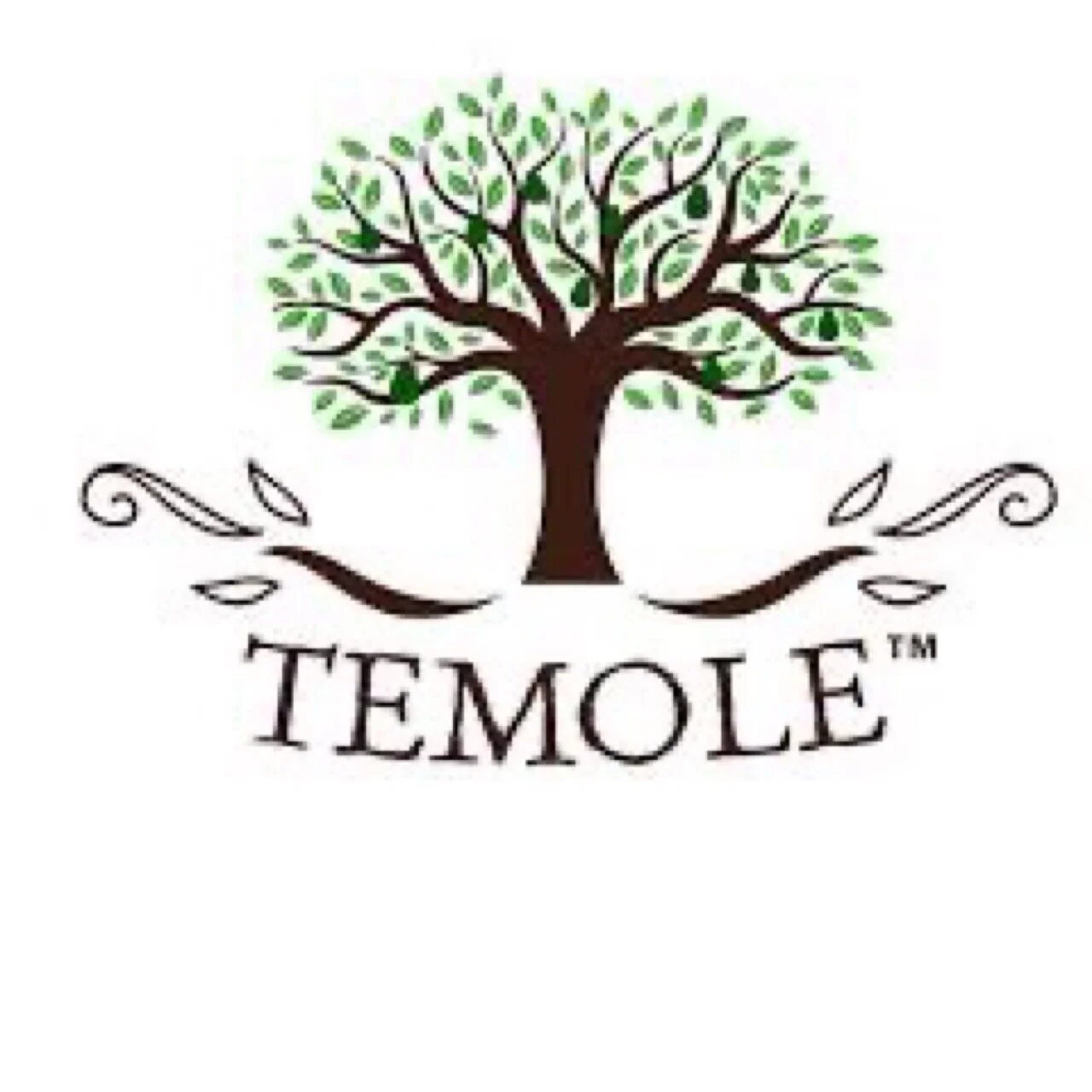Temole 