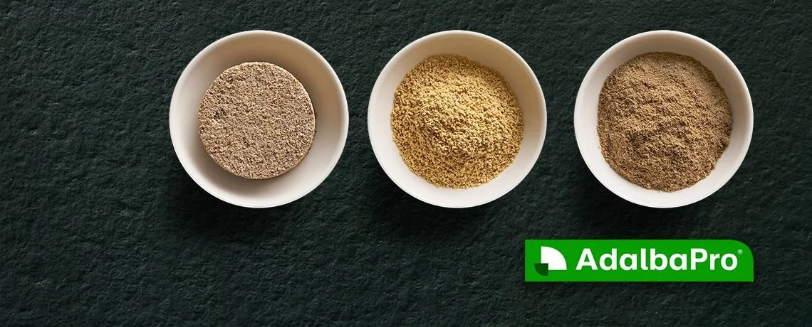 尋求替代性蛋白質 昆蟲食品市場快速成長