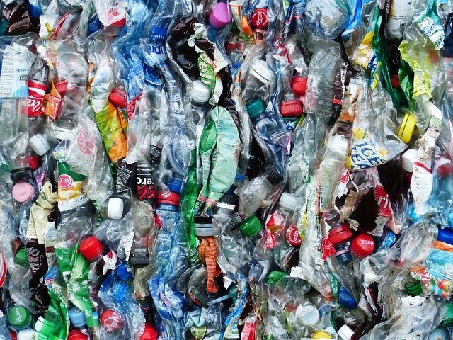プラスチック問題とは？ いまこそ見直す「影響」「原因」「課題」の最前線