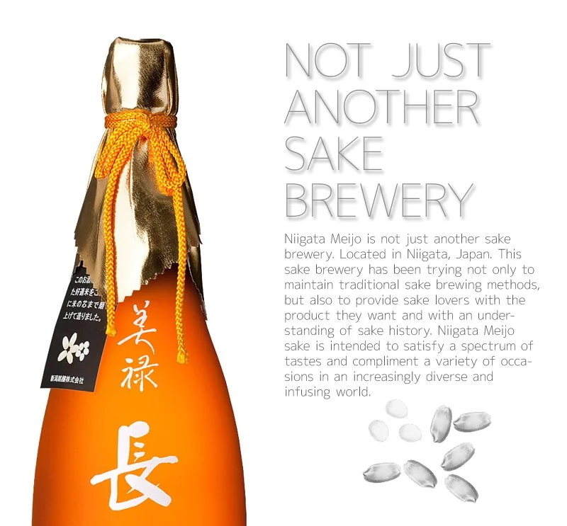 Niigata Meijo