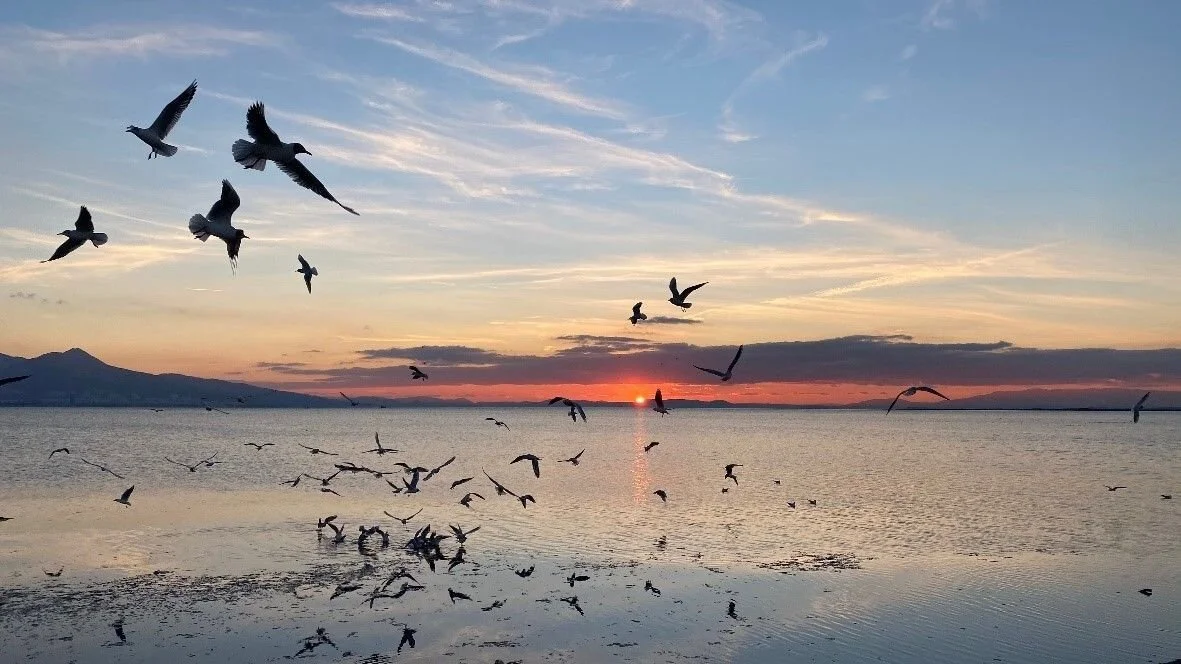 SDGs時代に避けられない「脱プラスチック」の視点