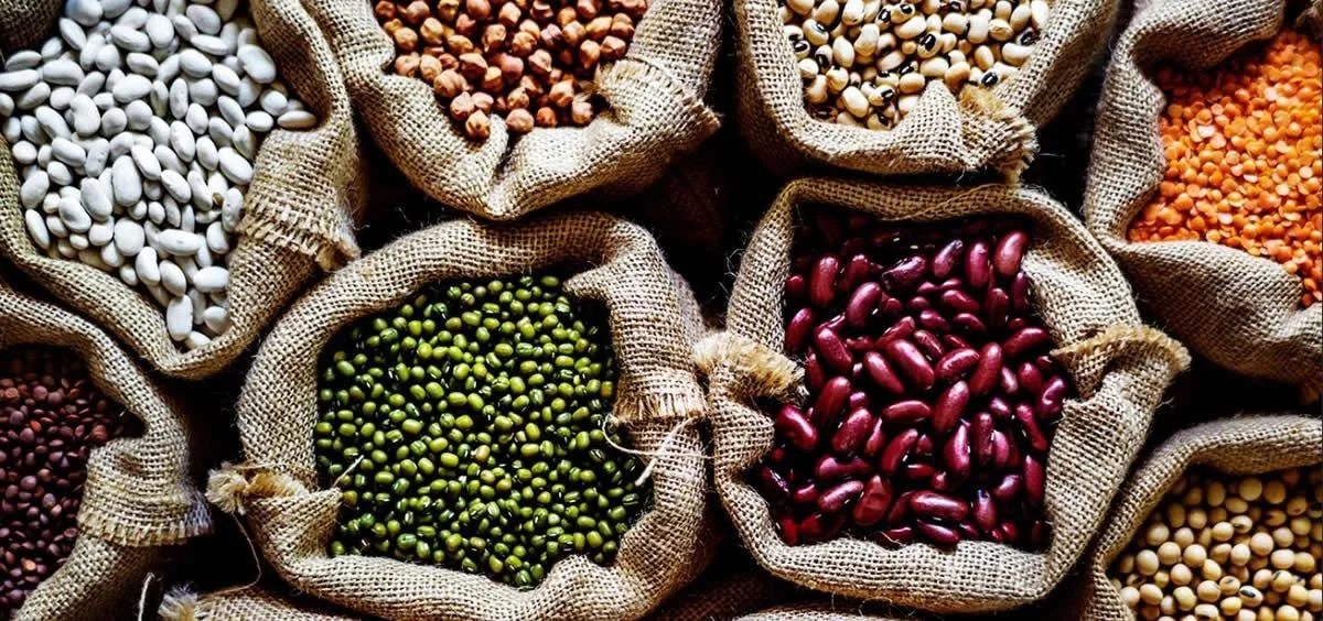 ¿Qué implica la propuesta de modificación de la ingesta diaria aceptable de cobre?