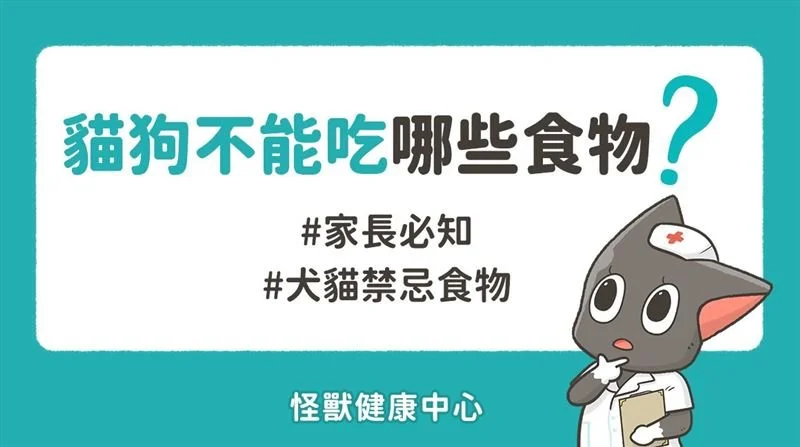 飼主快看！貓狗不能吃的地雷食物　1水果「狗可以貓不行」