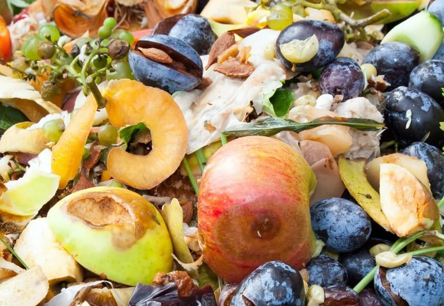 Insectes, légumineuses… la science au chevet de notre révolution alimentaire