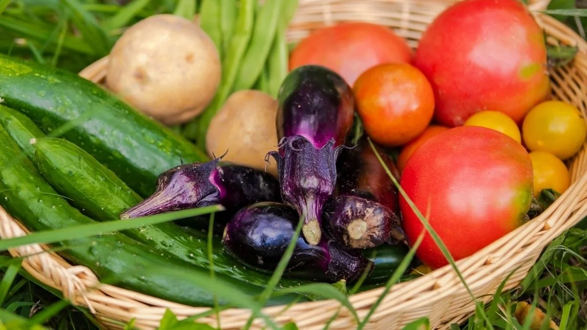 「遺伝子組換え」と「ゲノム編集」の違いは？気になる安全性は？4月から法改正により「遺伝子組換え食品」の表示ルールが変更に