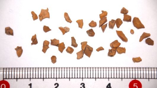 EU「意図的添加」のマイクロプラ規制　夏には正式発効か