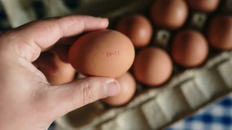 DLC, DDM, DLV : quelles sont les différences ?