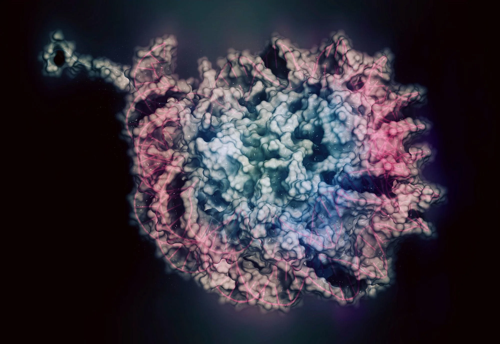 Concerning Findings – Substance Found in Common Household and Cosmetic Products Can Change the Epigenetics of Cells