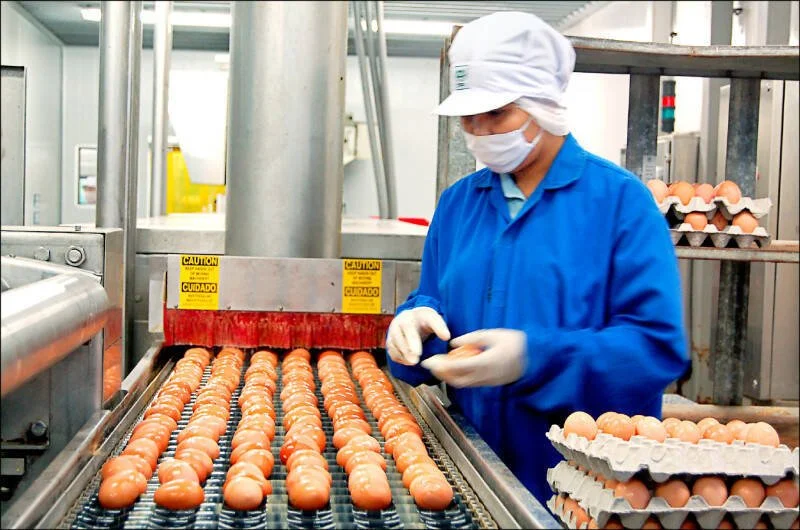 益言益行》下一個食安風險是沙門氏菌