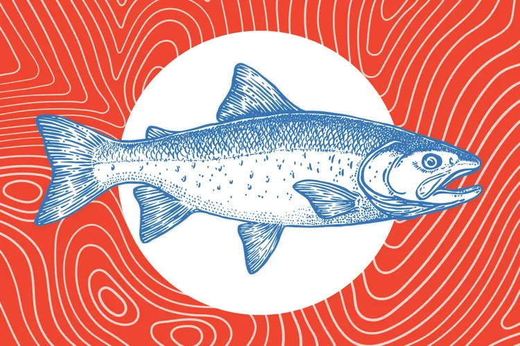 Why Farmed Salmon Isn't as Bad as You Think