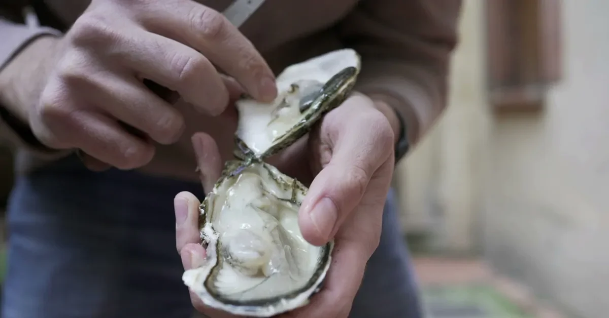 Huîtres : un geste simple pour limiter l’ingestion de microplastiques
