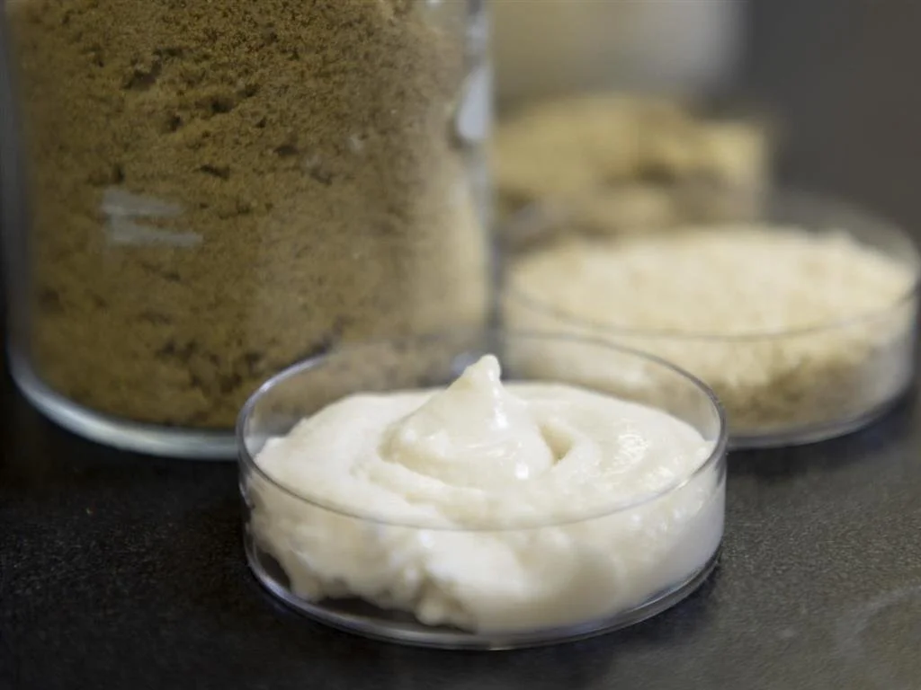 米蛋白也能做植物起司？研究發現稻米副產物可開發低過敏替代乳製品