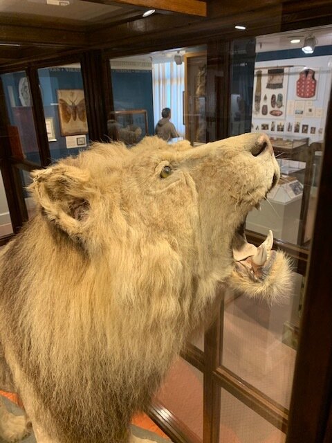  Also in Lightner’s collection, Rota, the Lion was given to Winston Churchill by the Zoological Society of London as “A war mascot and to commemorate the magnificent victories in North Africa.” 