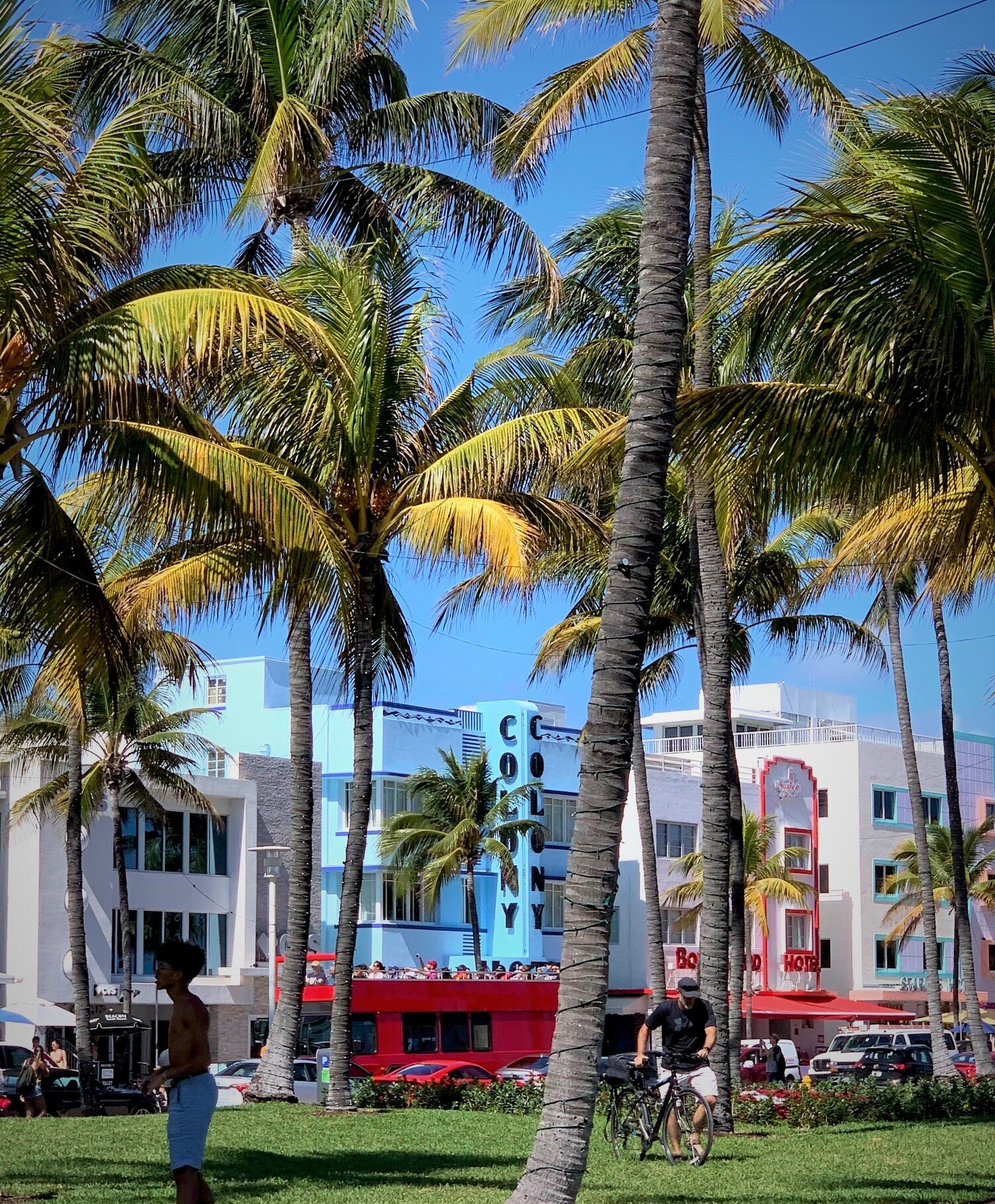  Daytime view of the Art Deco District at Lummus Park, on Ocean Boulevard, Miami. 