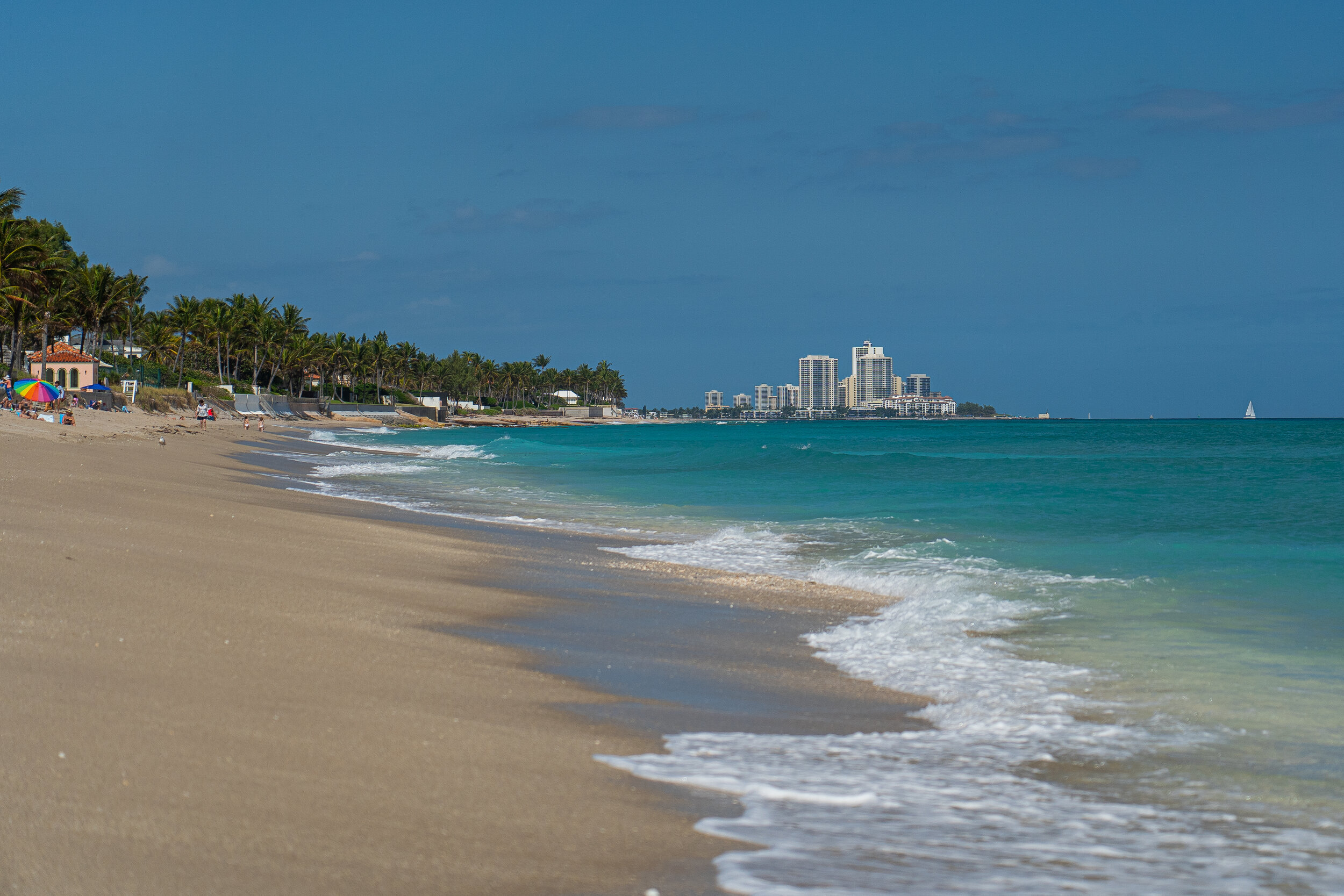  Beautiful blue and clear beaches in Palm Beach, Florida…and they love dogs here! 