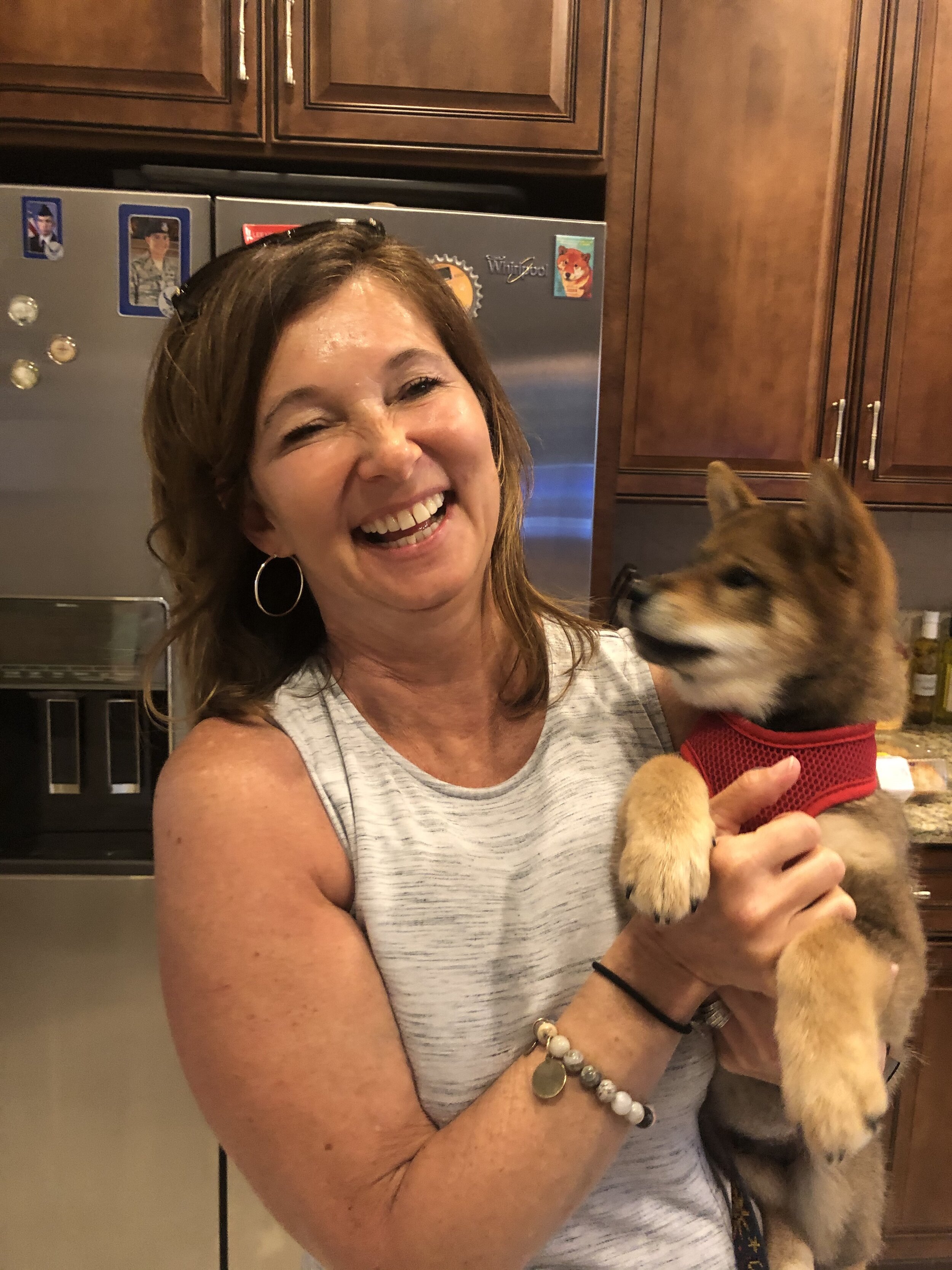  We loved this Shiba Inu puppy of our friends Jack and Dee who we visited twice in Ft Myers—sweetest puppy ever. 