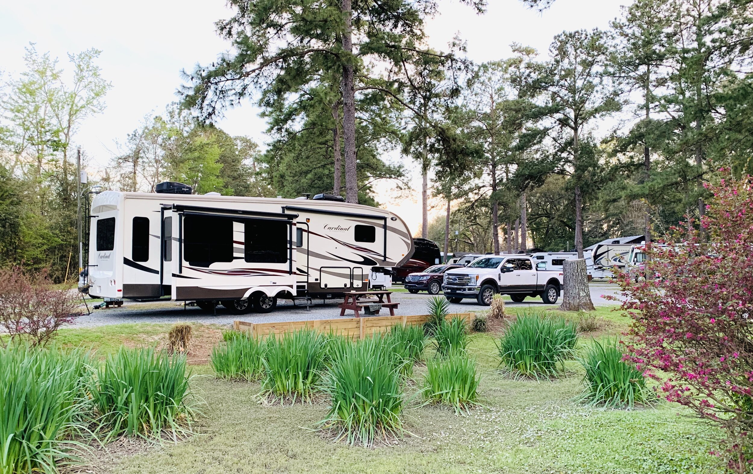  Many of our campsites in Florida were very cramped due to the Snowbird season. We thoroughly enjoyed having more space in this nice quiet Tallahassee park. 