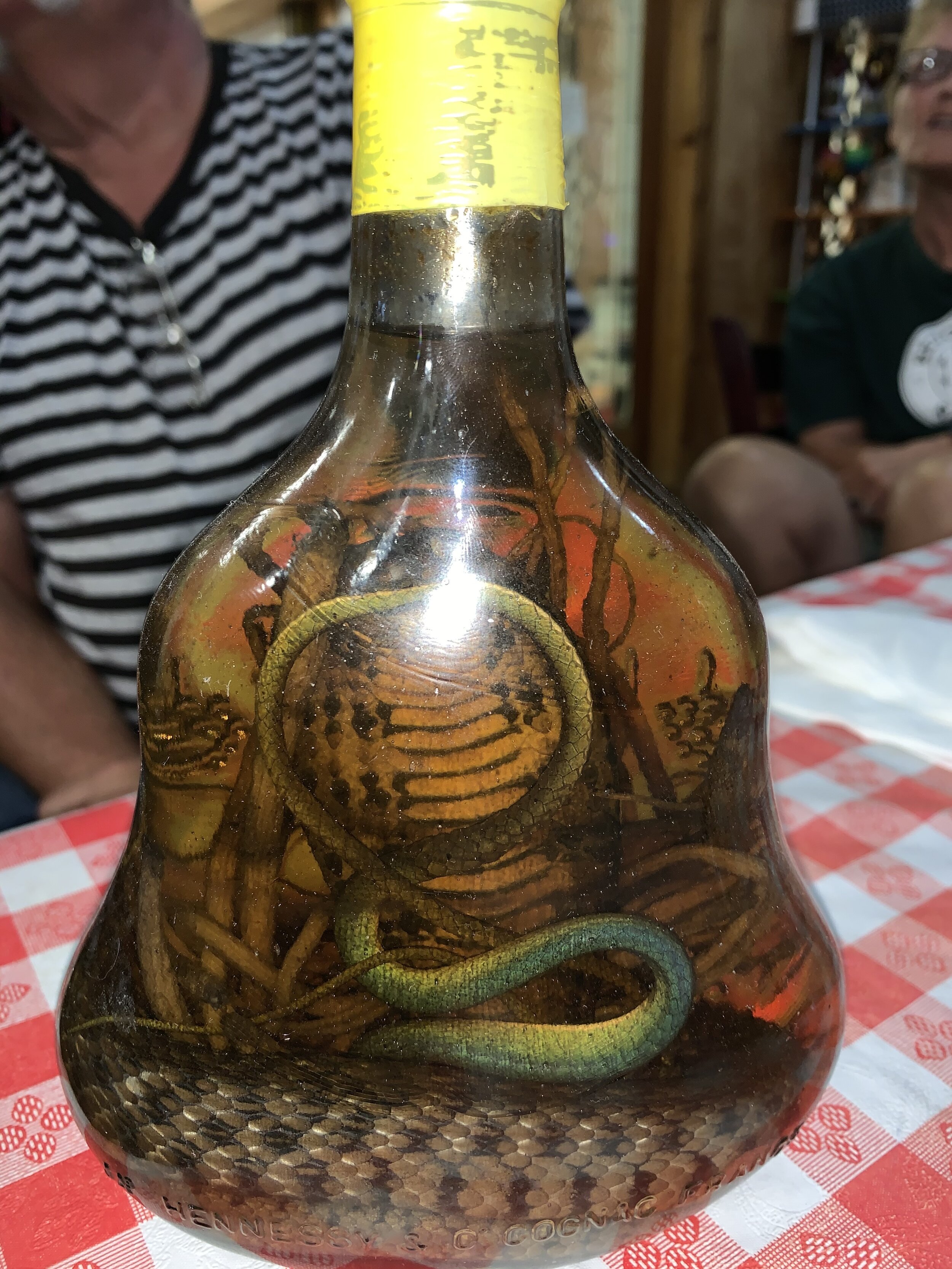  At the winery in Anahuac, we didn’t understand exactly what Jim does with this bottle of Vietnamese snake wine that contains a cobra with some other snake in the cobra’s mouth. He might have said he uses it to raise the alcohol content in some of hi