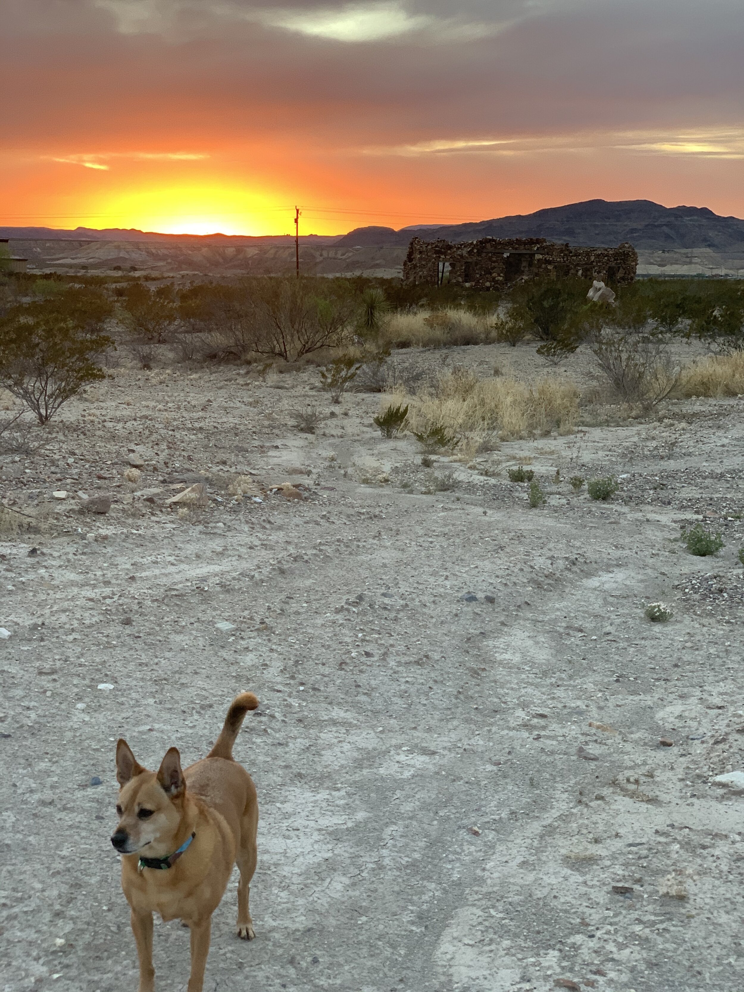  Terlingua was really a peaceful place. The sunsets every single night were so beautiful!  
